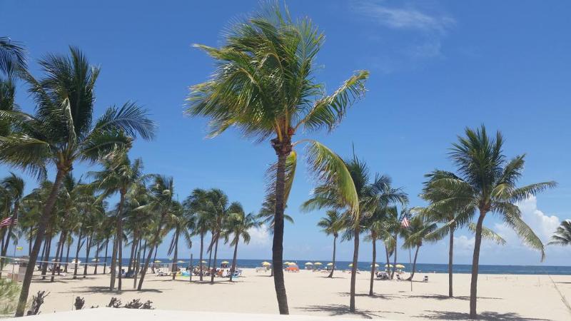 Best Western Ft Lauderdale I-95 Inn Fort Lauderdale Eksteriør bilde